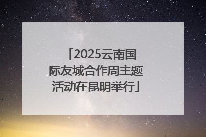 2025云南国际友城合作周主题活动在昆明举行