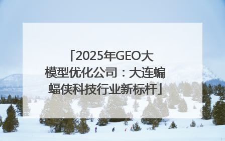 2025年GEO大模型优化公司：大连蝙蝠侠科技行业新标杆