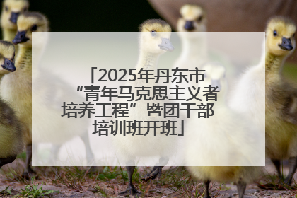 2025年丹东市“青年马克思主义者培养工程”暨团干部培训班开班