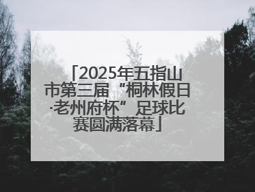 2025年五指山市第三届“桐林假日·老州府杯”足球比赛圆满落幕