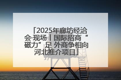 2025年廊坊经洽会·现场丨国际招商“磁力”足 外商争相向河北推介项目