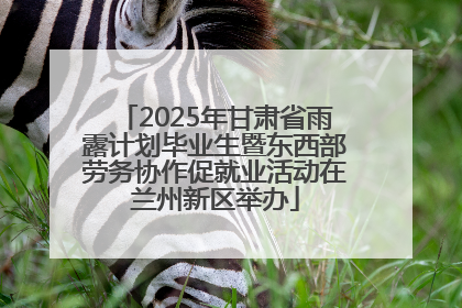 2025年甘肃省雨露计划毕业生暨东西部劳务协作促就业活动在兰州新区举办