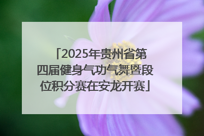 2025年贵州省第四届健身气功气舞暨段位积分赛在安龙开赛
