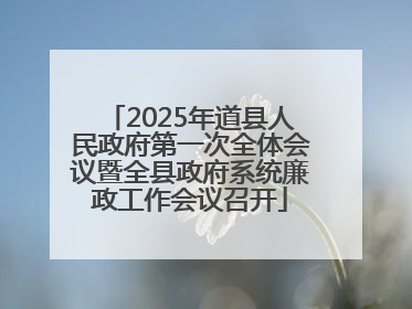 2025年道县人民政府第一次全体会议暨全县政府系统廉政工作会议召开
