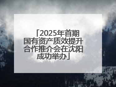 2025年首期国有资产质效提升合作推介会在沈阳成功举办