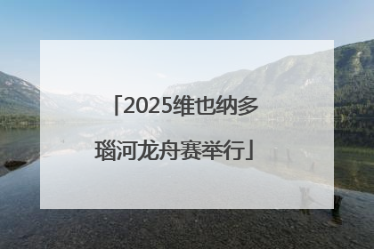 2025维也纳多瑙河龙舟赛举行