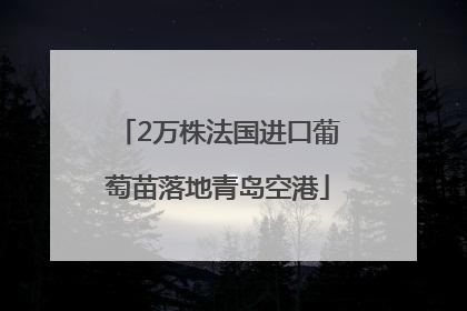 2万株法国进口葡萄苗落地青岛空港