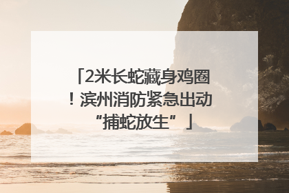 2米长蛇藏身鸡圈！滨州消防紧急出动“捕蛇放生”