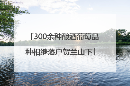 300余种酿酒葡萄品种相继落户贺兰山下