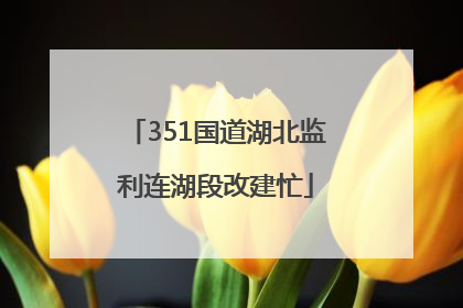 351国道湖北监利连湖段改建忙