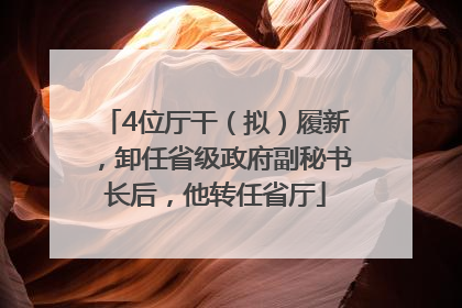 4位厅干（拟）履新，卸任省级政府副秘书长后，他转任省厅