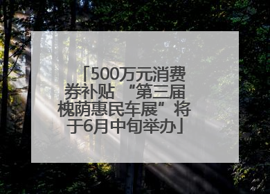 500万元消费券补贴 “第三届槐荫惠民车展”将于6月中旬举办