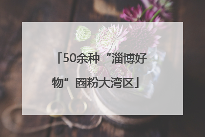 50余种“淄博好物”圈粉大湾区