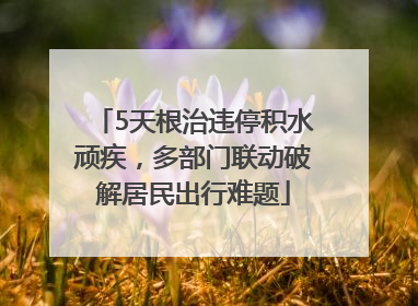 5天根治违停积水顽疾，多部门联动破解居民出行难题