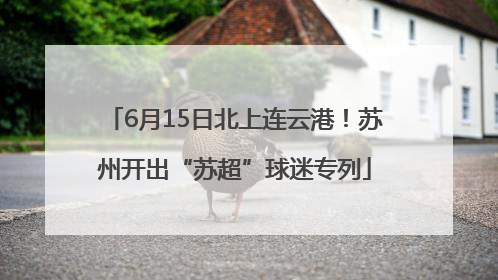 6月15日北上连云港！苏州开出“苏超”球迷专列