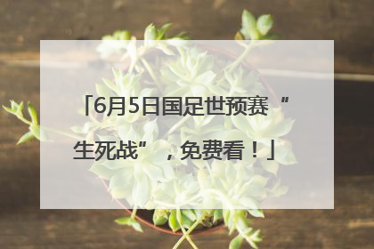 6月5日国足世预赛“生死战”，免费看！