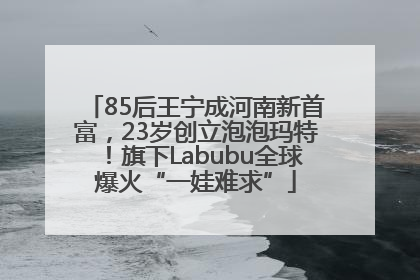 85后王宁成河南新首富，23岁创立泡泡玛特！旗下Labubu全球爆火“一娃难求”
