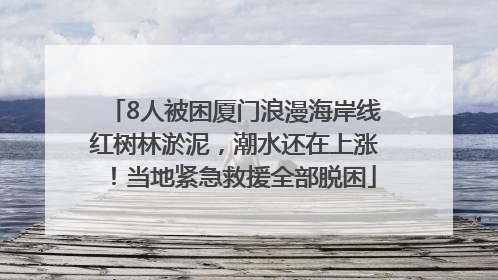 8人被困厦门浪漫海岸线红树林淤泥，潮水还在上涨！当地紧急救援全部脱困