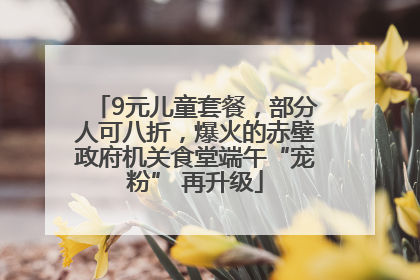9元儿童套餐，部分人可八折，爆火的赤壁政府机关食堂端午“宠粉” 再升级
