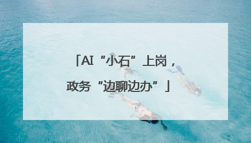 AI“小石”上岗，政务“边聊边办”