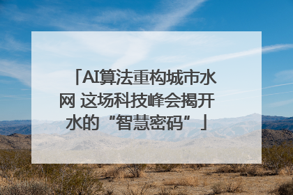 AI算法重构城市水网 这场科技峰会揭开水的“智慧密码”