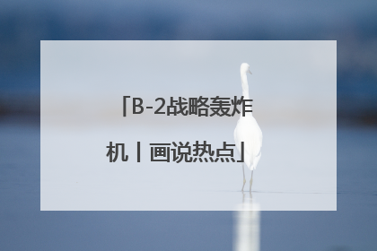 B-2战略轰炸机丨画说热点