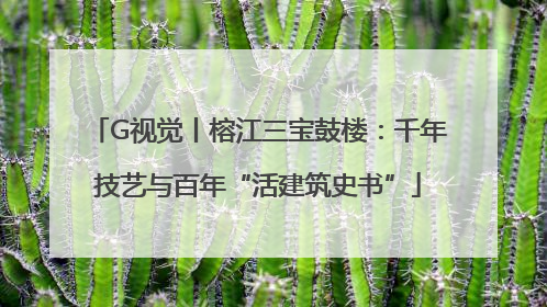 G视觉丨榕江三宝鼓楼：千年技艺与百年“活建筑史书”