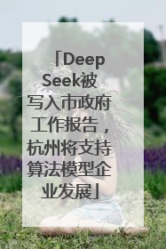 DeepSeek被写入市政府工作报告，杭州将支持算法模型企业发展