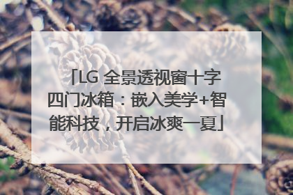 LG 全景透视窗十字四门冰箱：嵌入美学+智能科技，开启冰爽一夏