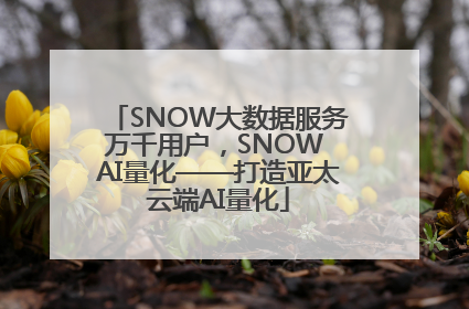 SNOW大数据服务万千用户，SNOW AI量化——打造亚太云端AI量化